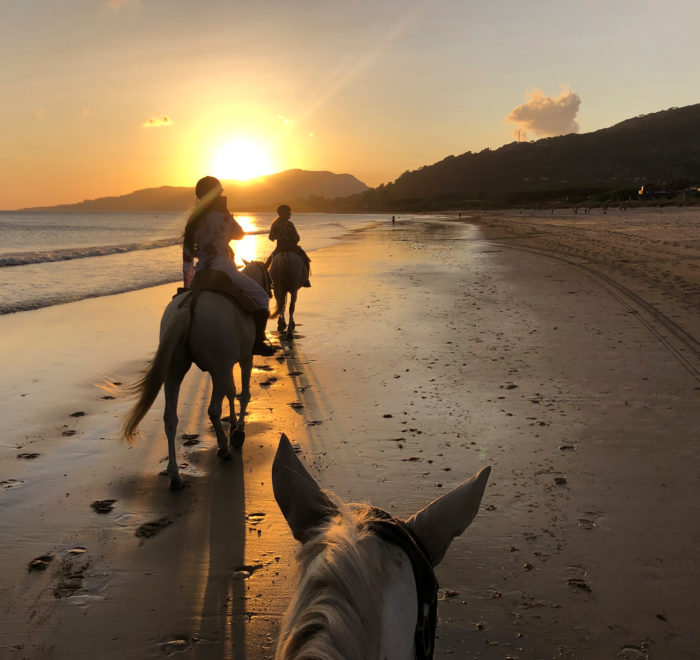 Agriturismo in Maremma Grosseto Casale EnRiCa. Attività e Dintorni - escursioni a cavallo